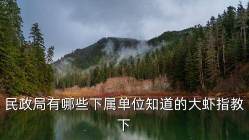 民政局有哪些下屬單位知道的大蝦指教下