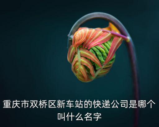 重慶市雙橋區新車站的快遞公司是哪個叫什么名字