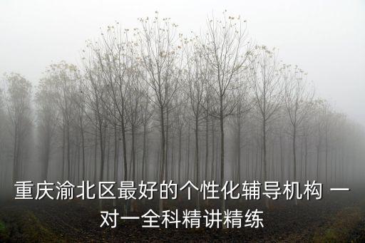 重慶渝北區(qū)最好的個(gè)性化輔導(dǎo)機(jī)構(gòu) 一對(duì)一全科精講精練