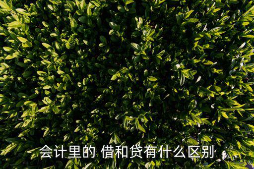 會計里的 借和貸有什么區別