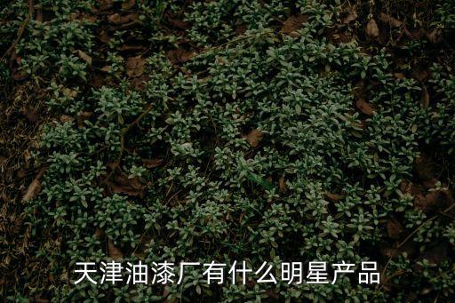天津市天涂豪邦涂料有限公司，天津地區(qū)的大型油漆涂料廠有哪些都在哪一片