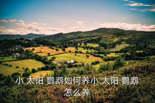 小太陽鸚鵡,小太陽鸚鵡會說話嗎?別擔(dān)心它聽不到聲音