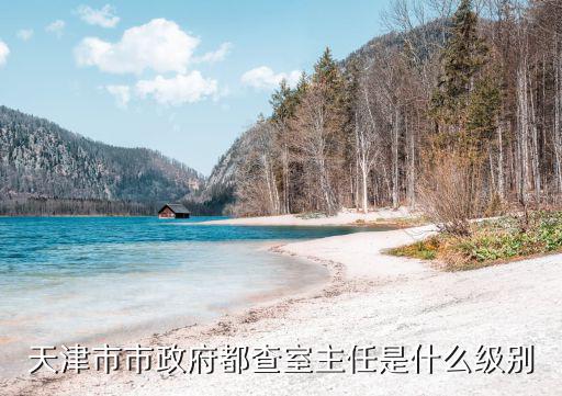 天津市政府朱軍，天津市市委辦公廳主任是誰