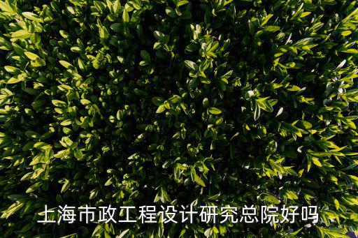 上海市政工程設(shè)計研究總院好嗎