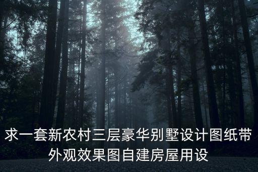 求一套新農村三層豪華別墅設計圖紙帶外觀效果圖自建房屋用設