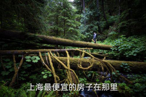 上海最便宜的房子在那里
