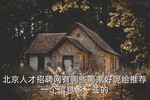 北京人才招聘網(wǎng)有哪些哪家好呢給推薦一個(gè)信息多一些的