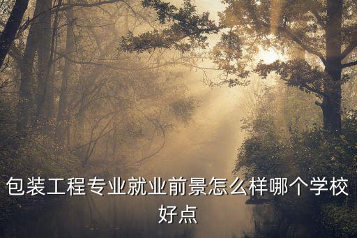成都市包裝技術職業中學90級二班，求推薦一家成都最好的電視欄目包裝培訓機構急