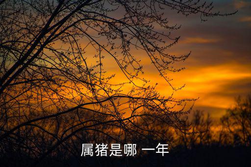 屬豬是哪 一年