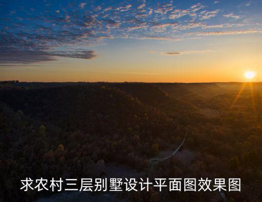 求農村三層別墅設計平面圖效果圖