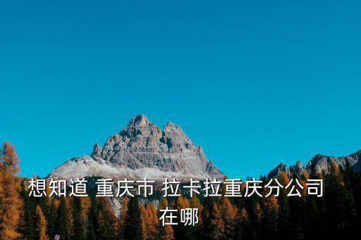 重慶市泰安商會，重慶商會景洪有嗎