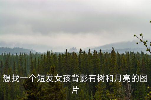 短發(fā)背影圖片女生，有一張動(dòng)漫壁紙短發(fā)女生背景一片海穿裙子