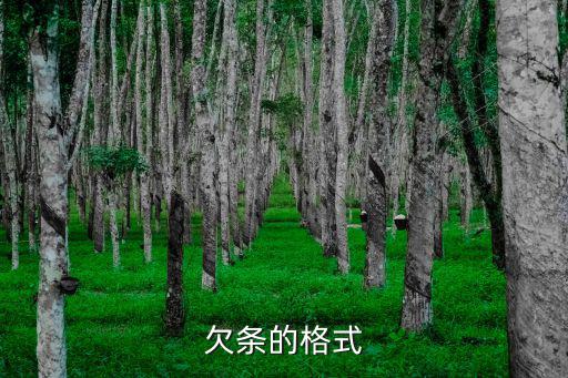 欠條樣本，怎么寫欠條范本