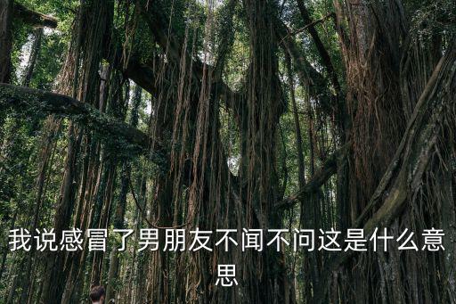 我說感冒了男朋友不聞不問這是什么意思