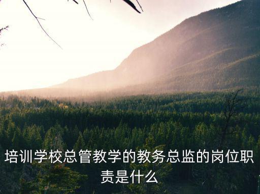 培訓學校總管教學的教務總監的崗位職責是什么