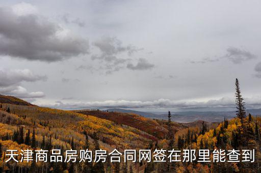 天津市房屋網(wǎng)簽查詢，天津商品房購(gòu)房合同網(wǎng)簽在那里能查到
