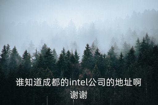 誰知道成都的intel公司的地址啊謝謝