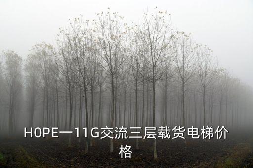 H0PE一11G交流三層載貨電梯價格