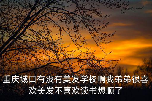 重慶城口有沒有美發(fā)學(xué)校啊我弟弟很喜歡美發(fā)不喜歡讀書想順了