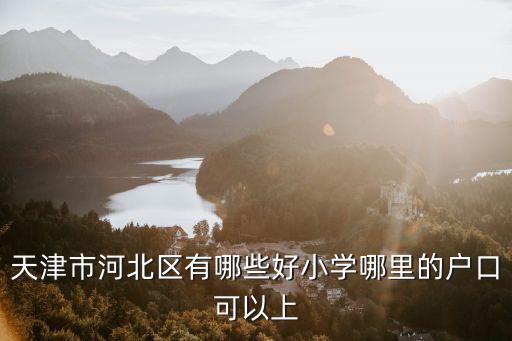 天津市河北區最好小學，天津市河北區哪個小學最好