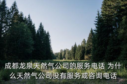 成都龍泉天然氣公司的服務電話 為什么天然氣公司沒有服務或咨詢電話