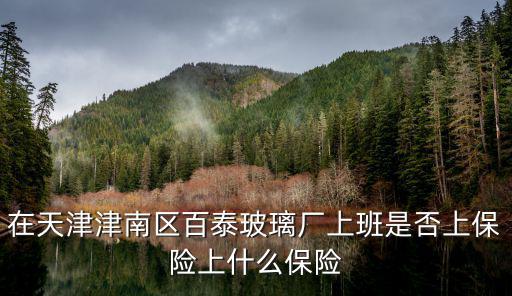 在天津津南區(qū)百泰玻璃廠上班是否上保險(xiǎn)上什么保險(xiǎn)