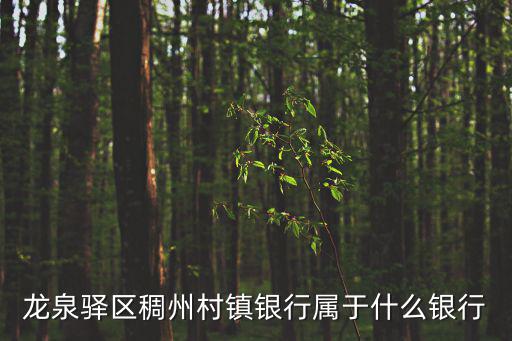 龍泉驛區(qū)稠州村鎮(zhèn)銀行屬于什么銀行