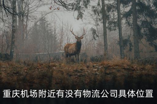 重慶機場附近有沒有物流公司具體位置