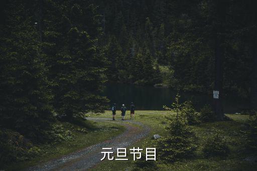 元旦節目