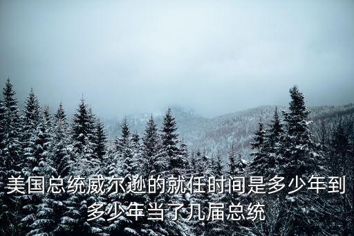 美國總統威爾遜的就任時間是多少年到多少年當了幾屆總統