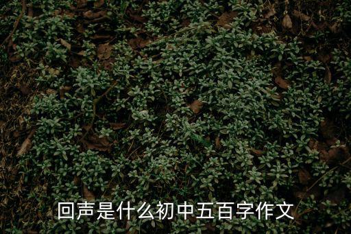 回聲是什么初中五百字作文