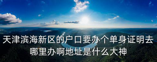 天津濱海新區的戶口要辦個單身證明去哪里辦啊地址是什么大神
