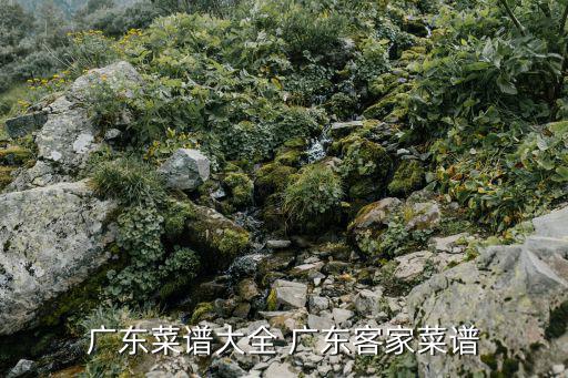 廣東菜譜大全 廣東客家菜譜