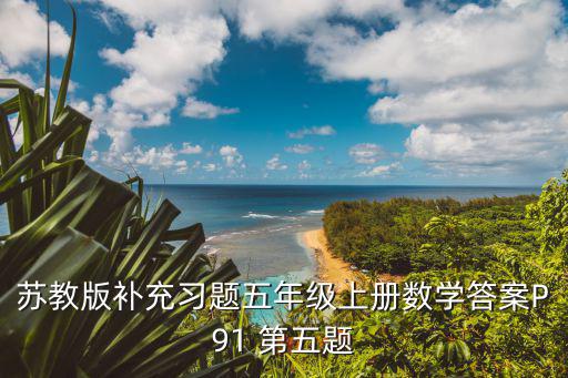 蘇教版補充習題五年級上冊數學答案P91 第五題