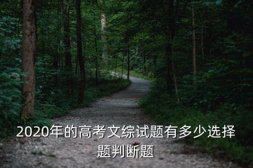 2020年的高考文綜試題有多少選擇題判斷題