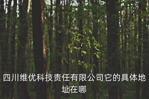 四川維優科技責任有限公司它的具體地址在哪