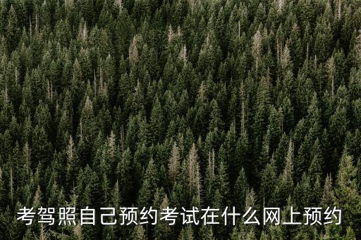 考駕照自己預(yù)約考試在什么網(wǎng)上預(yù)約