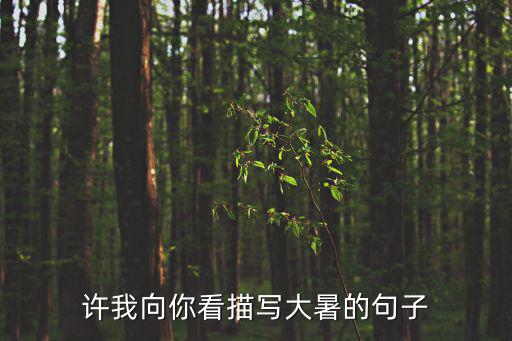 許我向你看描寫大暑的句子