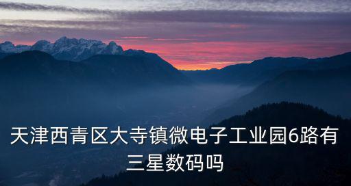 天津西青區(qū)大寺鎮(zhèn)微電子工業(yè)園6路有三星數(shù)碼嗎