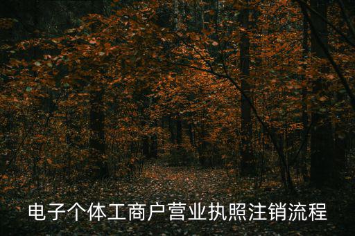 電子個體工商戶營業執照注銷流程