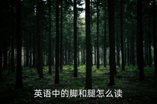 英語中的腳和腿怎么讀