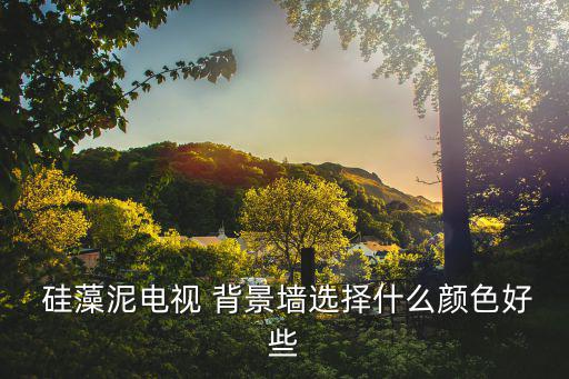  硅藻泥電視 背景墻選擇什么顏色好些