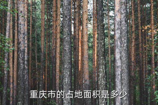 重慶市的占地面積是多少