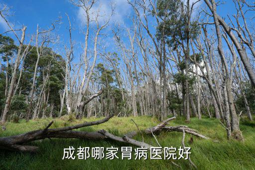 成都哪家胃病醫院好