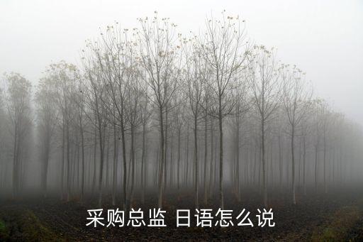 采購總監，采購總監 日語怎么說