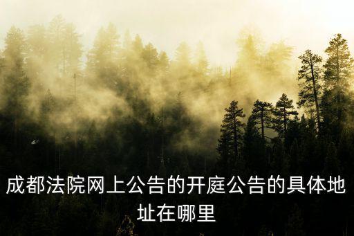 成都法院網(wǎng)上公告的開庭公告的具體地址在哪里