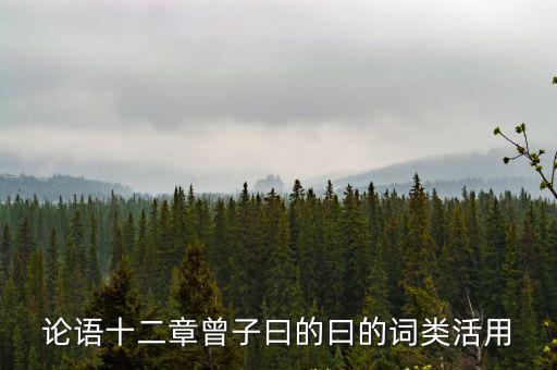論語十二章教案，論語十二章孔子是如何論述為師之道和從師之道