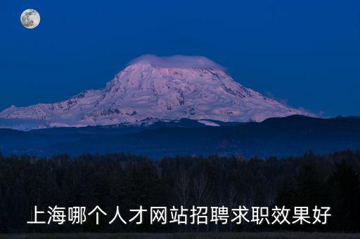 上海哪個人才網站招聘求職效果好