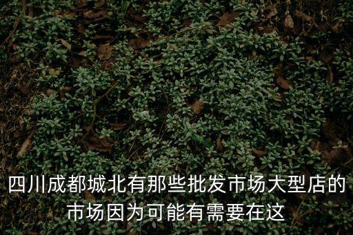 成都市商品交易市場疏散實(shí)施規(guī)劃，成都市智虹貿(mào)易中心