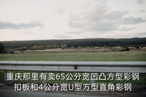 重慶那里有賣65公分寬凹凸方型彩鋼扣板和4公分寬U型方型直角彩鋼